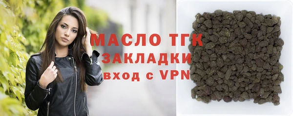 индика Балахна