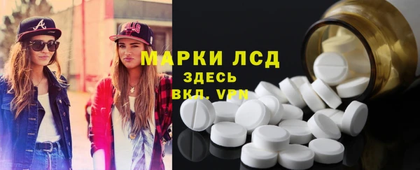 индика Балахна
