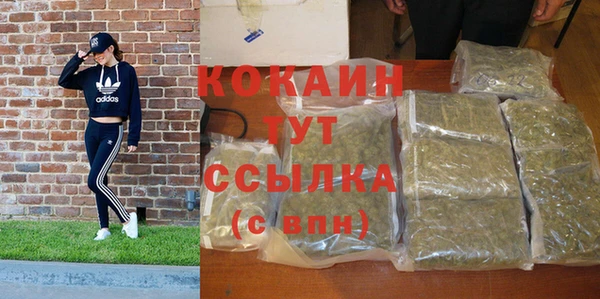 индика Балахна