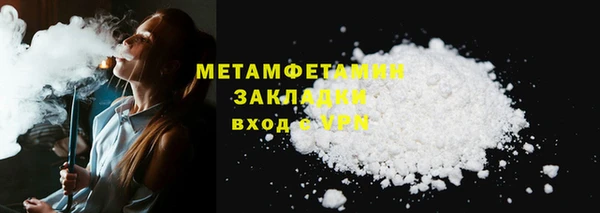 прущие грибы Балабаново