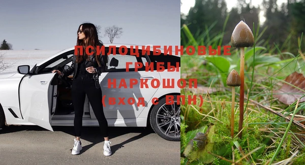 индика Балахна