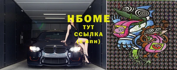 индика Балахна