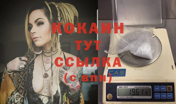 прущие грибы Балабаново
