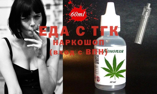 индика Балахна