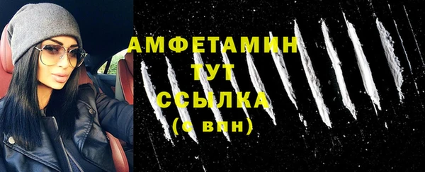 прущие грибы Балабаново