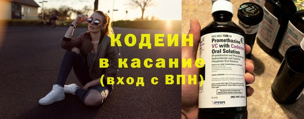 индика Балахна