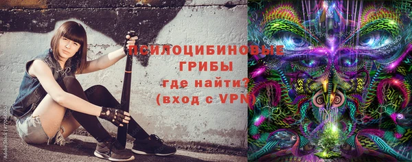 индика Балахна