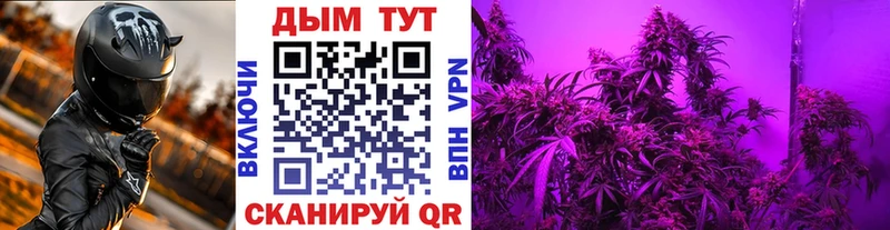 купить наркотик  Лабытнанги  Конопля планчик 